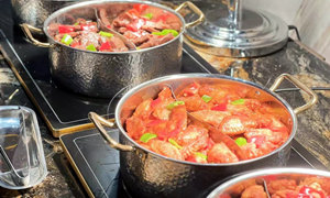 �Ͼ������Ͷ��Ʒ���