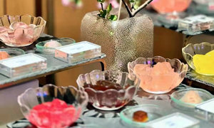 ���˲�Ъ��������